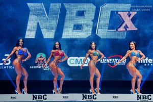 WELLNESS НОВИЧКИ